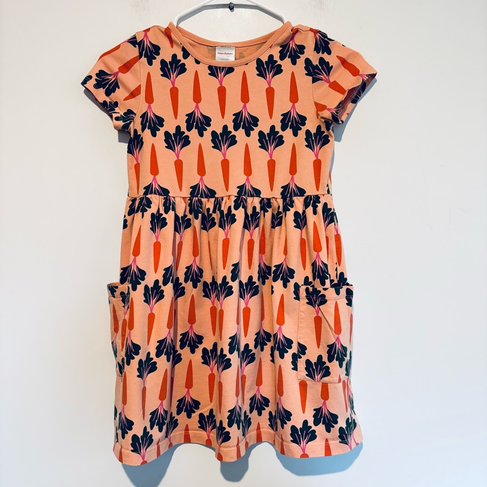Hanna Andersson Carrot Dress EUC